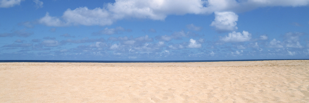 奈良市でカーリースならおすすめ店舗5選比較｜口コミ・評判で人気